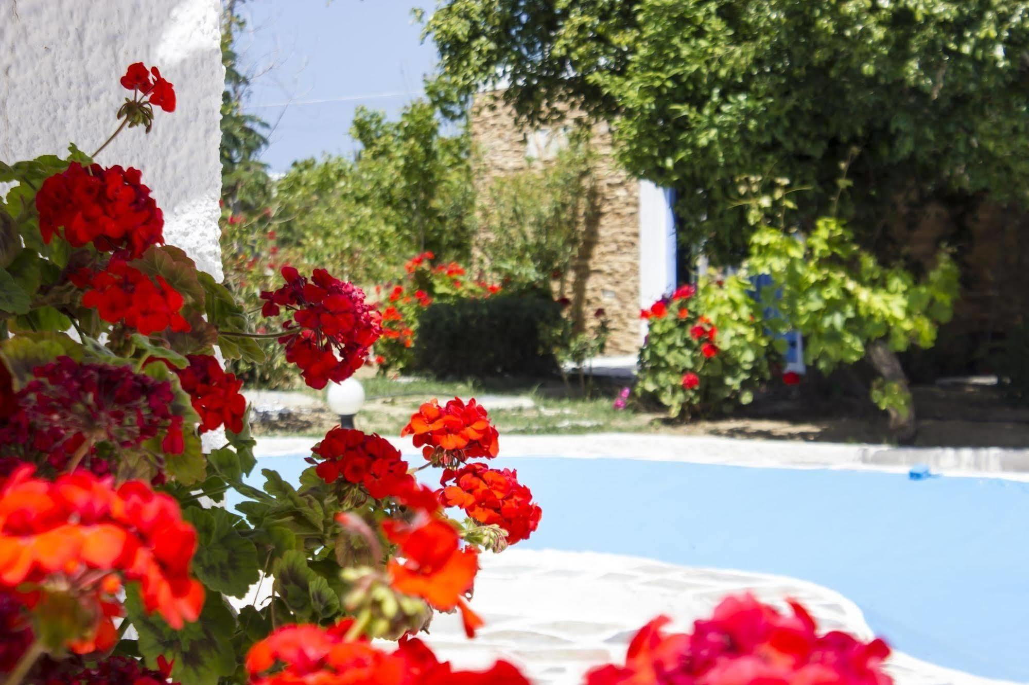 Naxos Holidays Hotel Naxos City