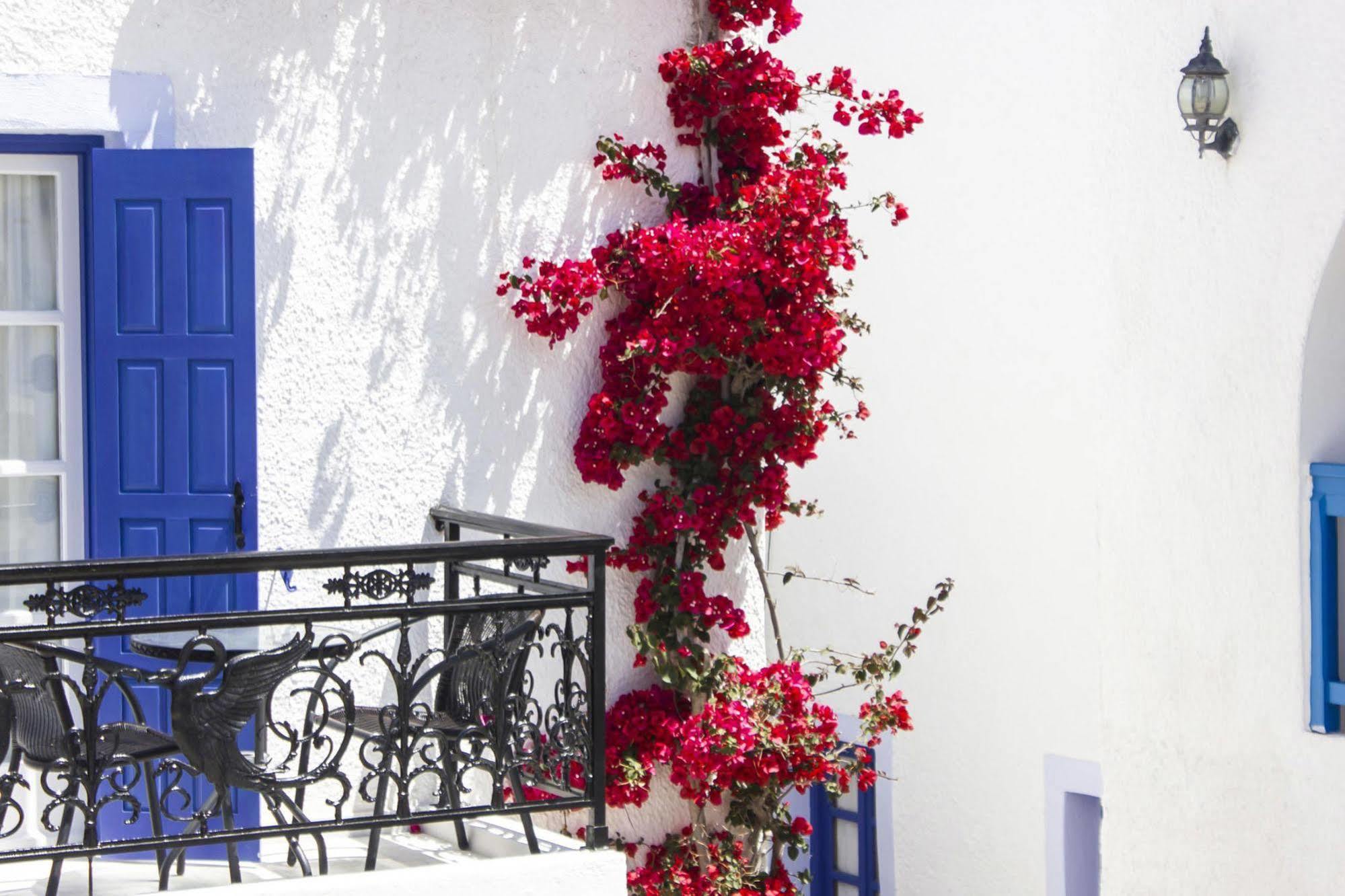 Naxos Holidays