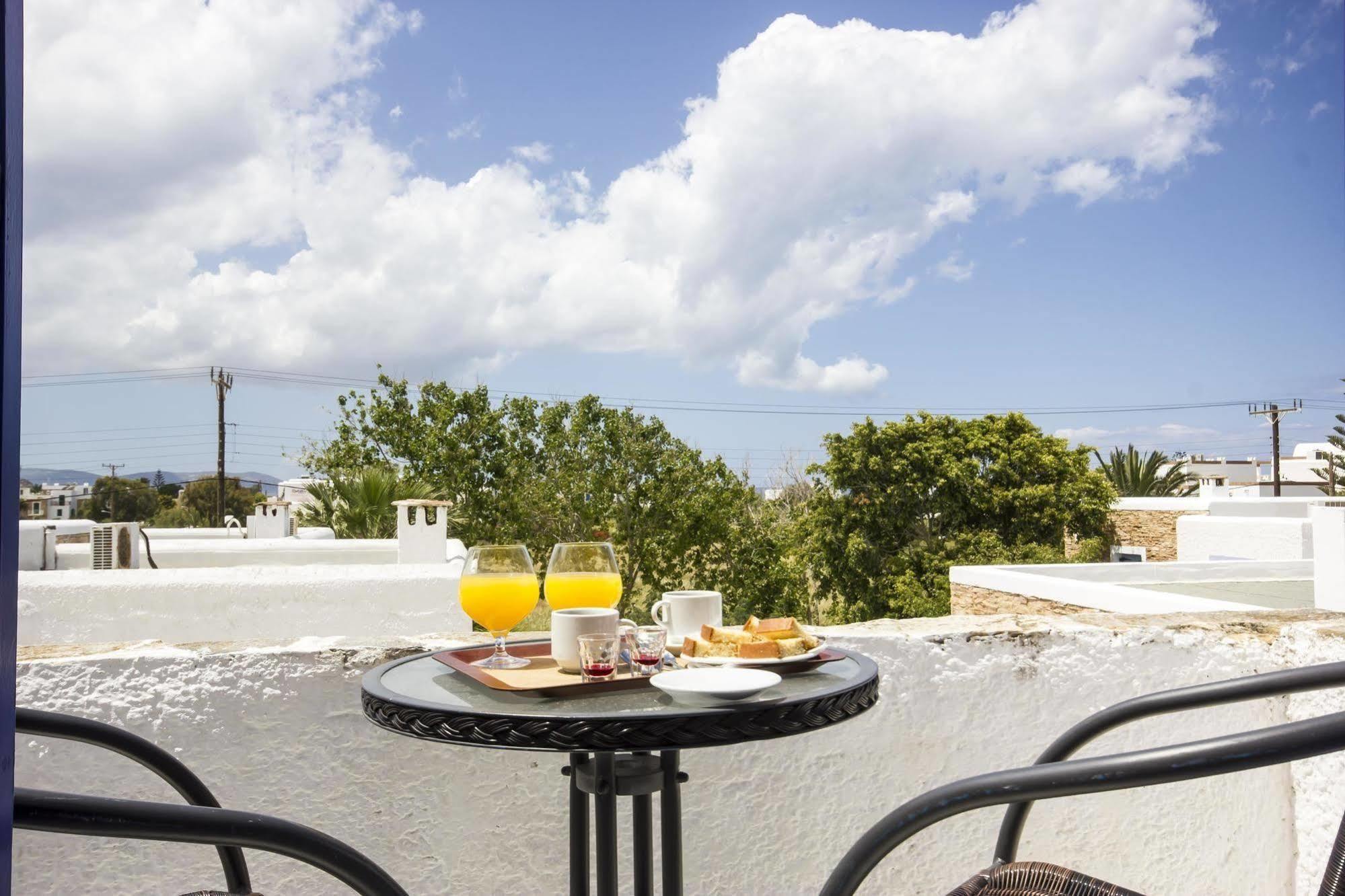 Hotel Naxos Holidays 3*