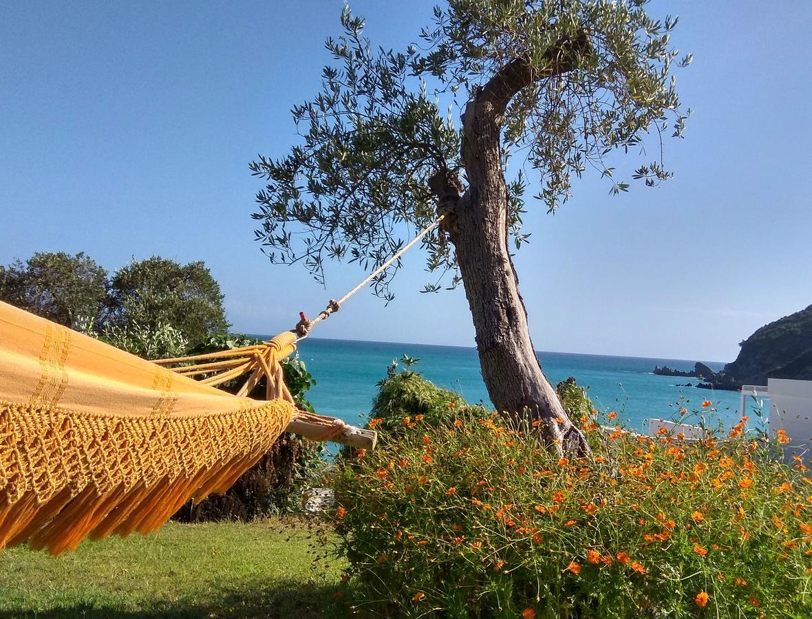 Elina Guest house