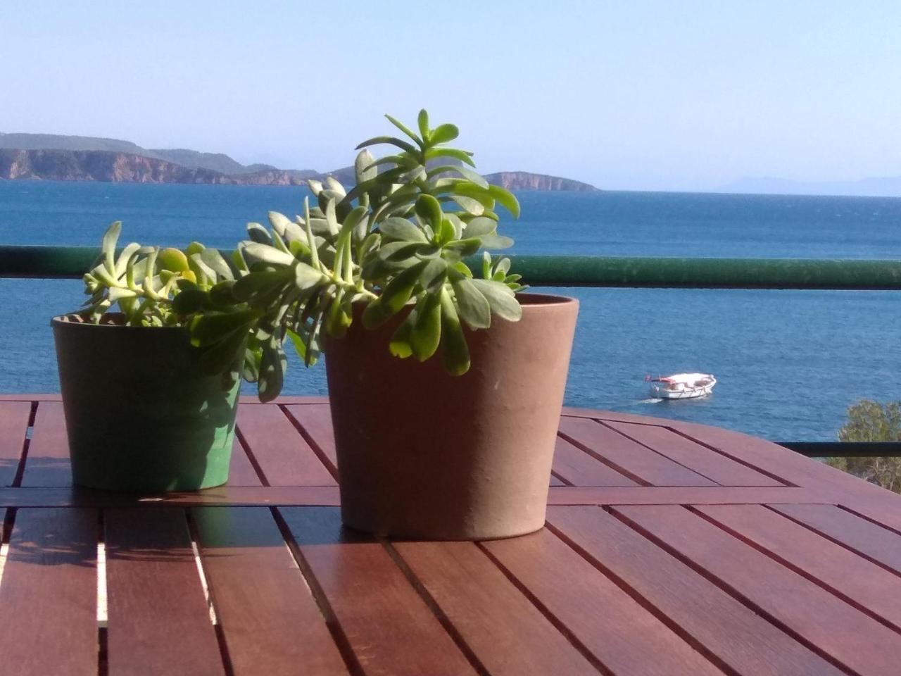 Guest house Elina Parga