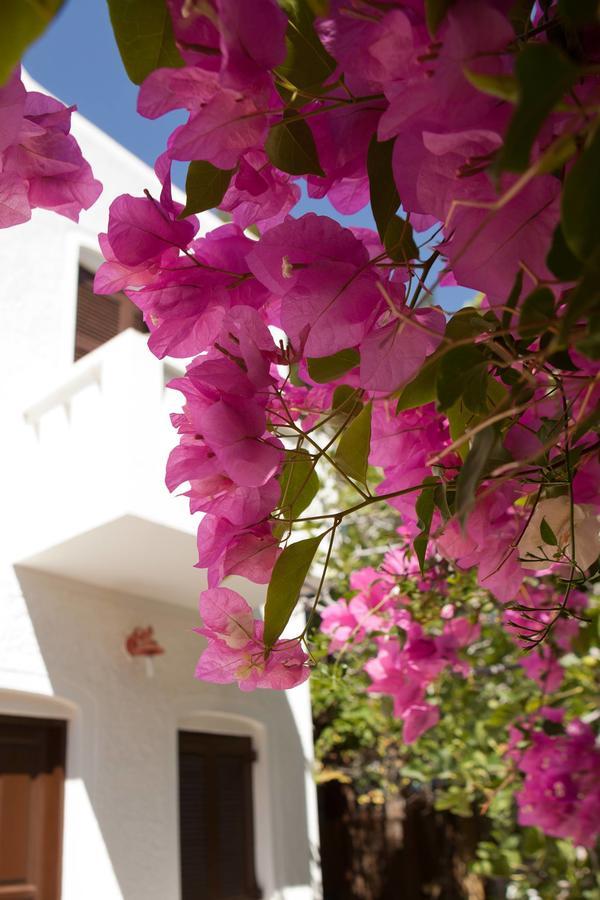 Albatross Hotel Livadi (Serifos)