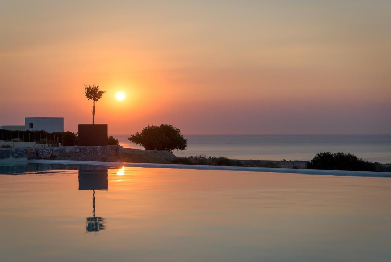 Alav Pool