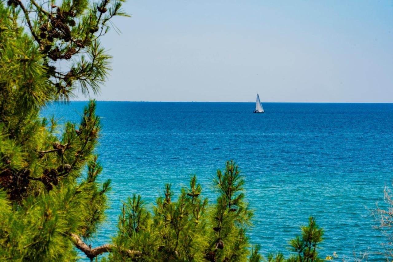 Romantica Palaiontsiflikion