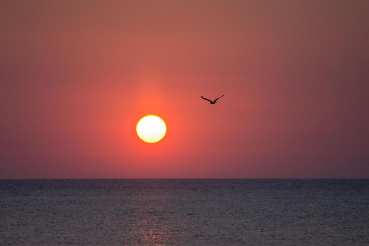 Aktaia * Skyros