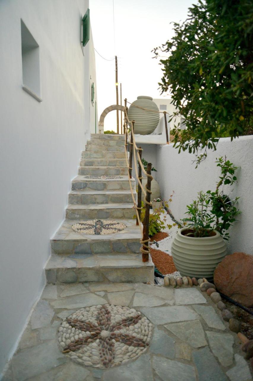 Dioni Lux Pachaina