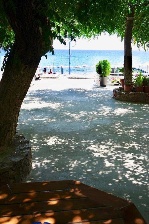Apartment Stegna Dream *