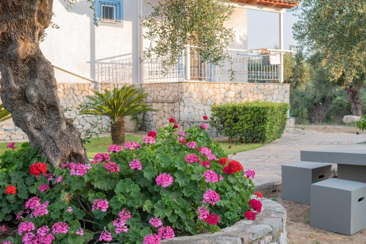 Apartment Tasos Koutsoubos Koroni (Messinia)