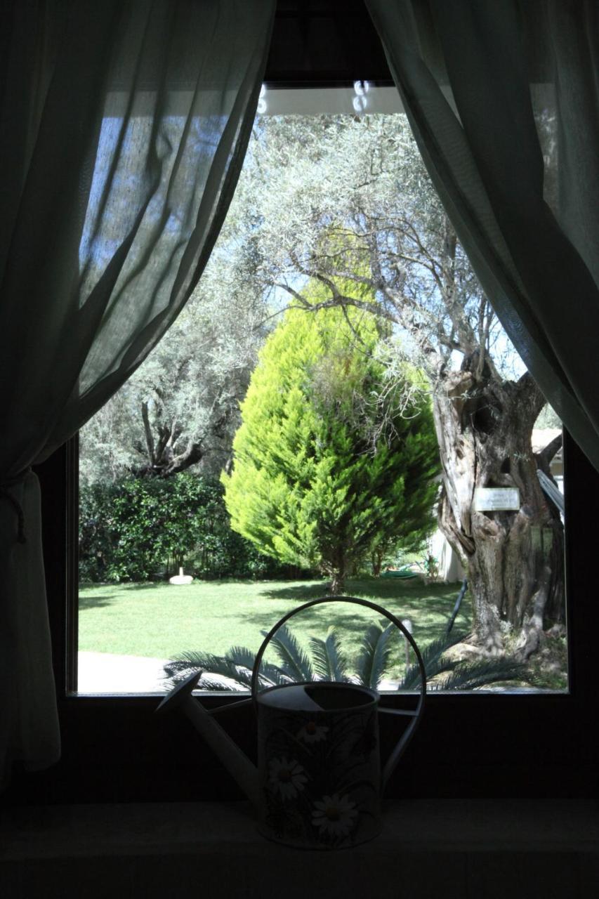Apartment Olivastro Lefkada City
