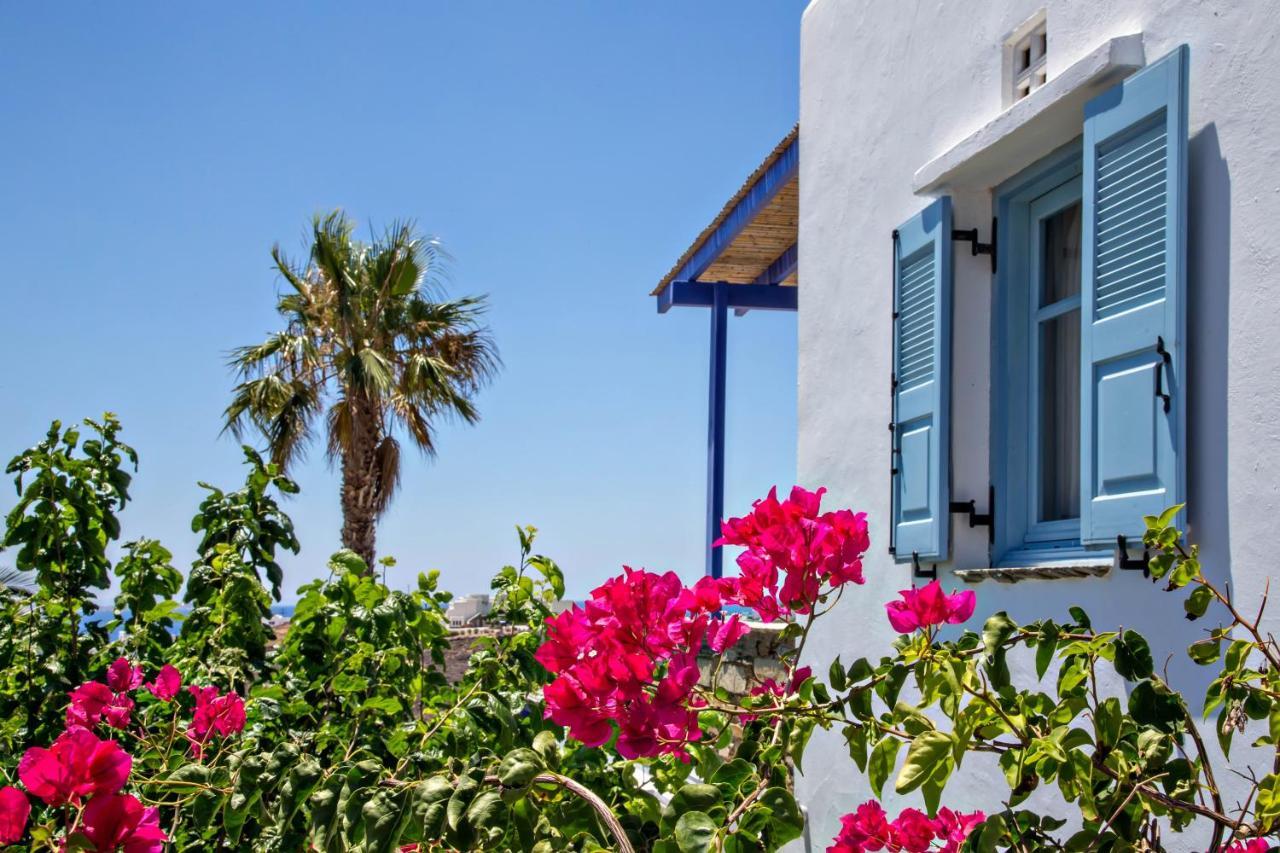 Apartment Ethelio