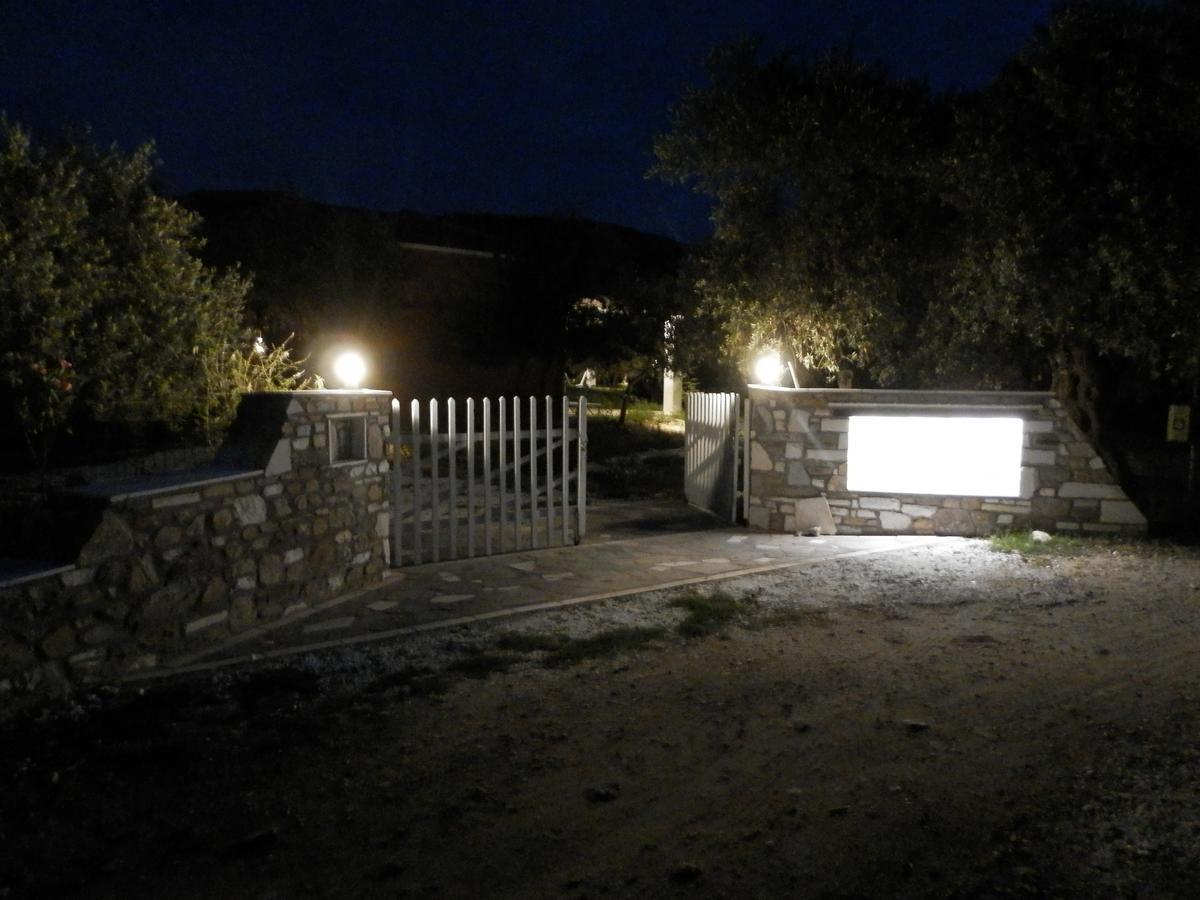 Elea Stone In Organic Quiet Olive Grove, Prinos, Thassos *