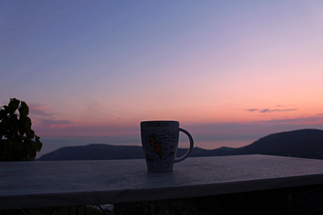Adonis Holiday home Andros Town