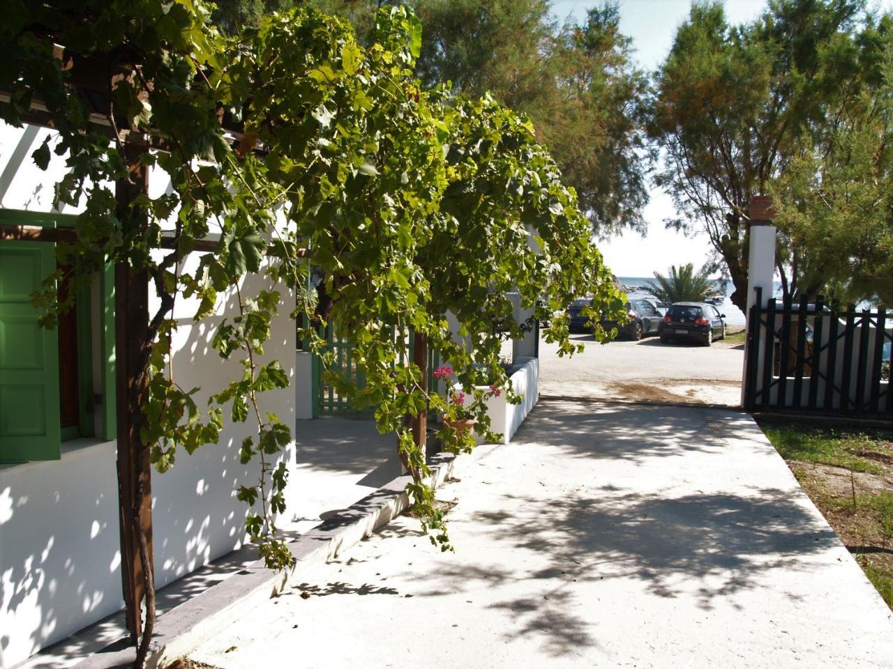 Apartment Pegasus & Skyros