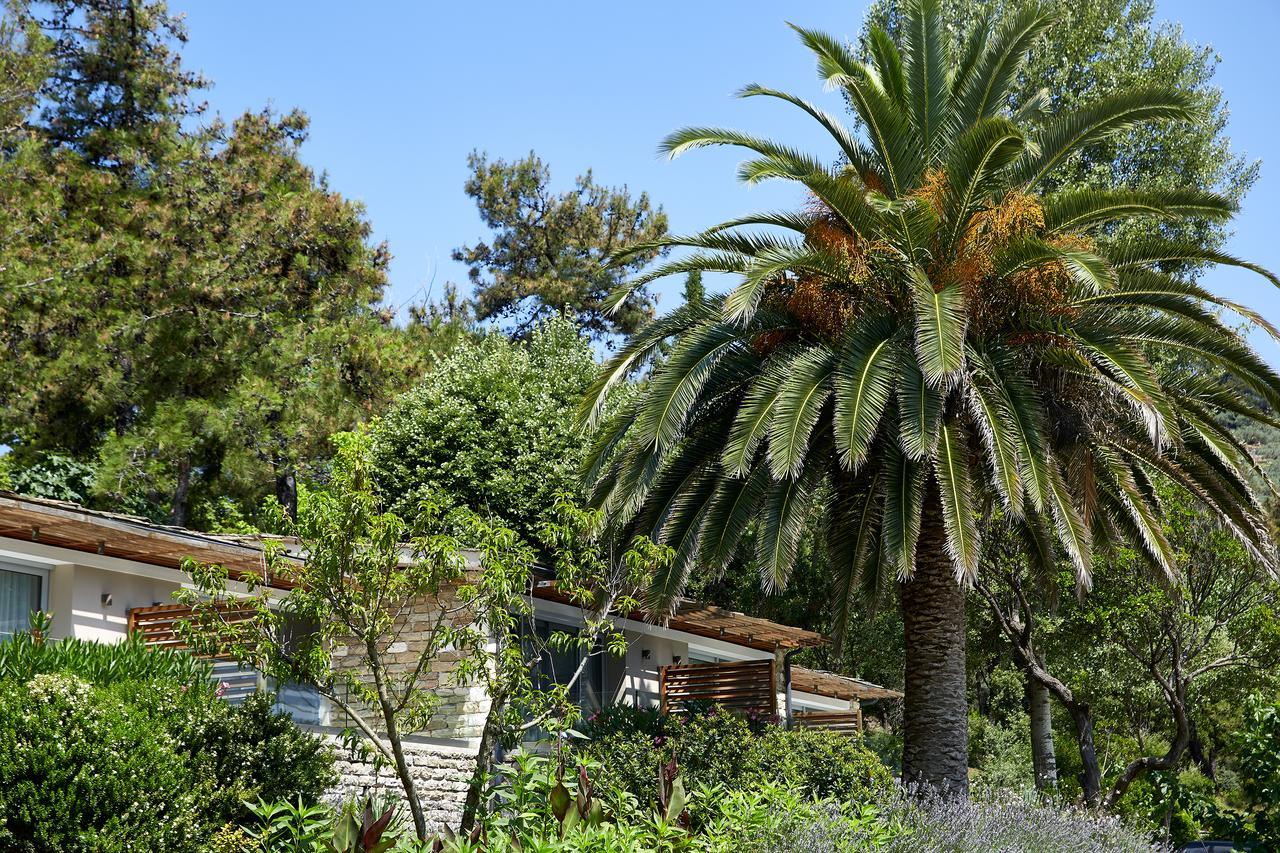 Hotel Makryammos Makriammos