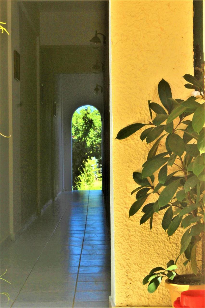 Chrysanthi Melitsa Apts. Holiday home *