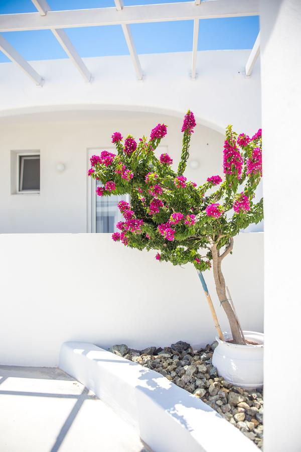 White Passion Afantou