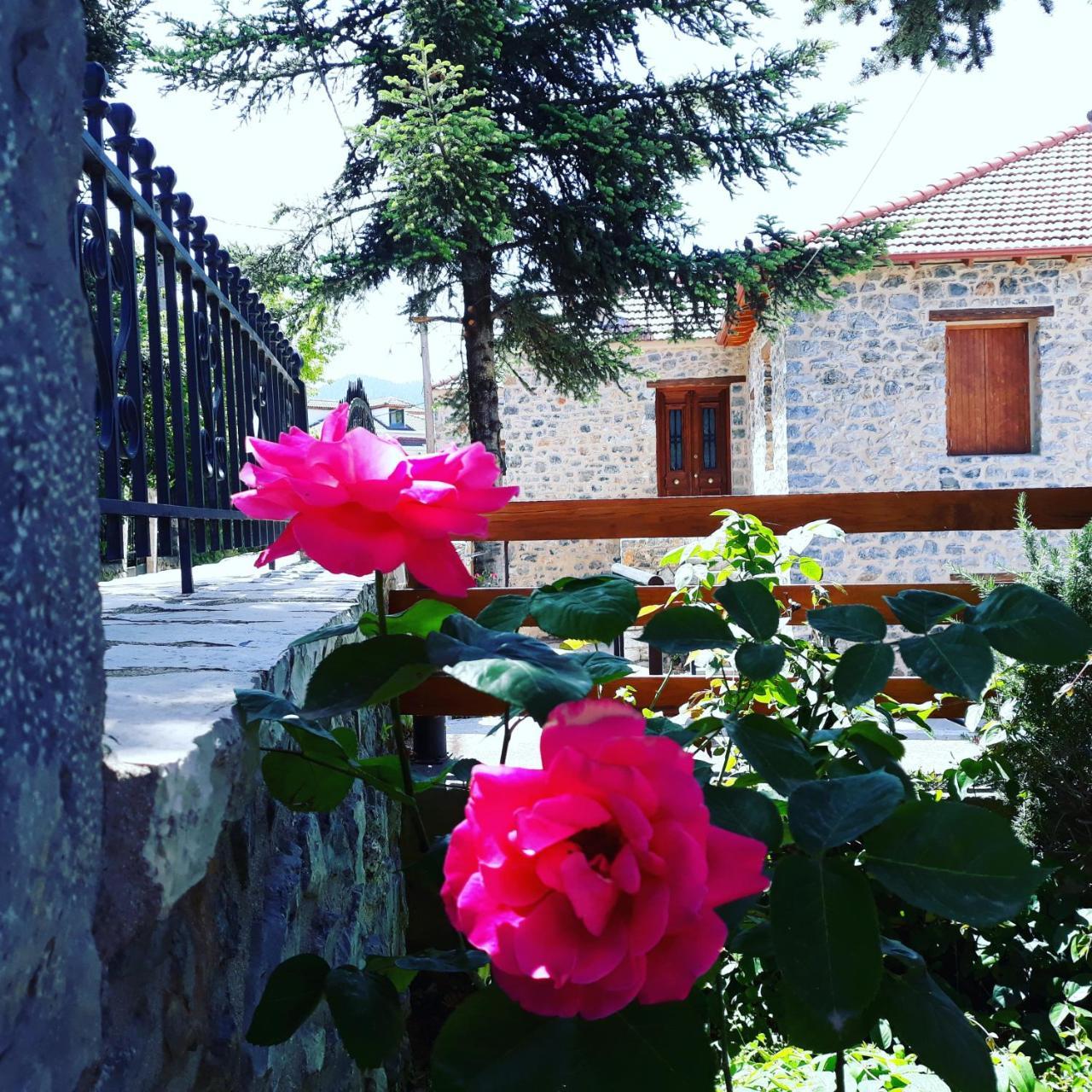 Archontiko Nikolopoulou Guest house Vytina