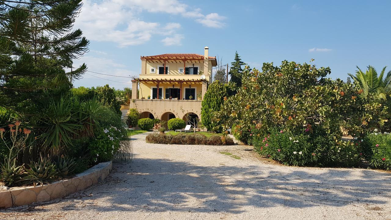 Ersilia Aegina