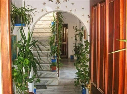 Augusta & Apartment Naousa (Paros)