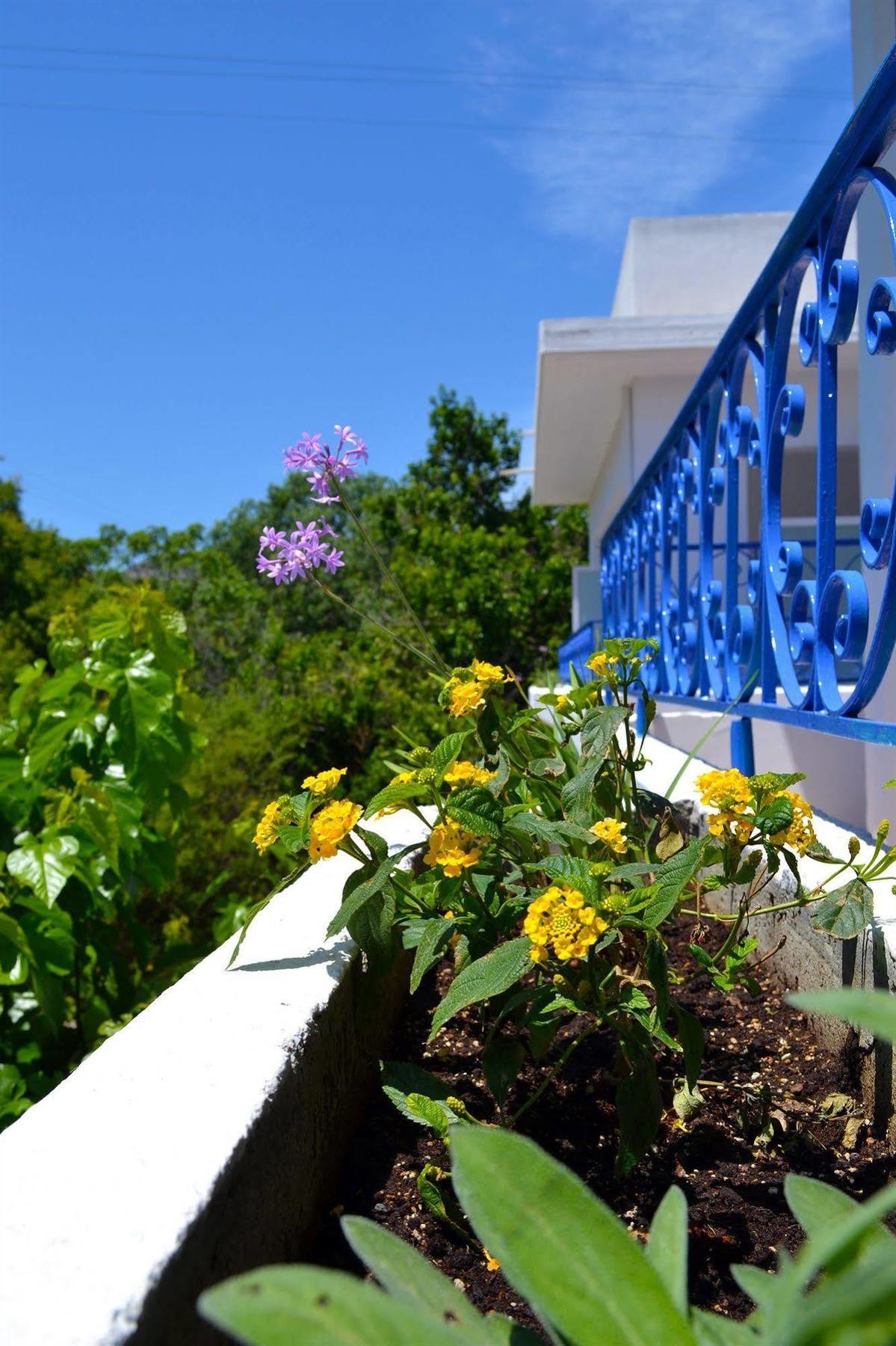 Hotel Effies Dreams Studio Rhodes City