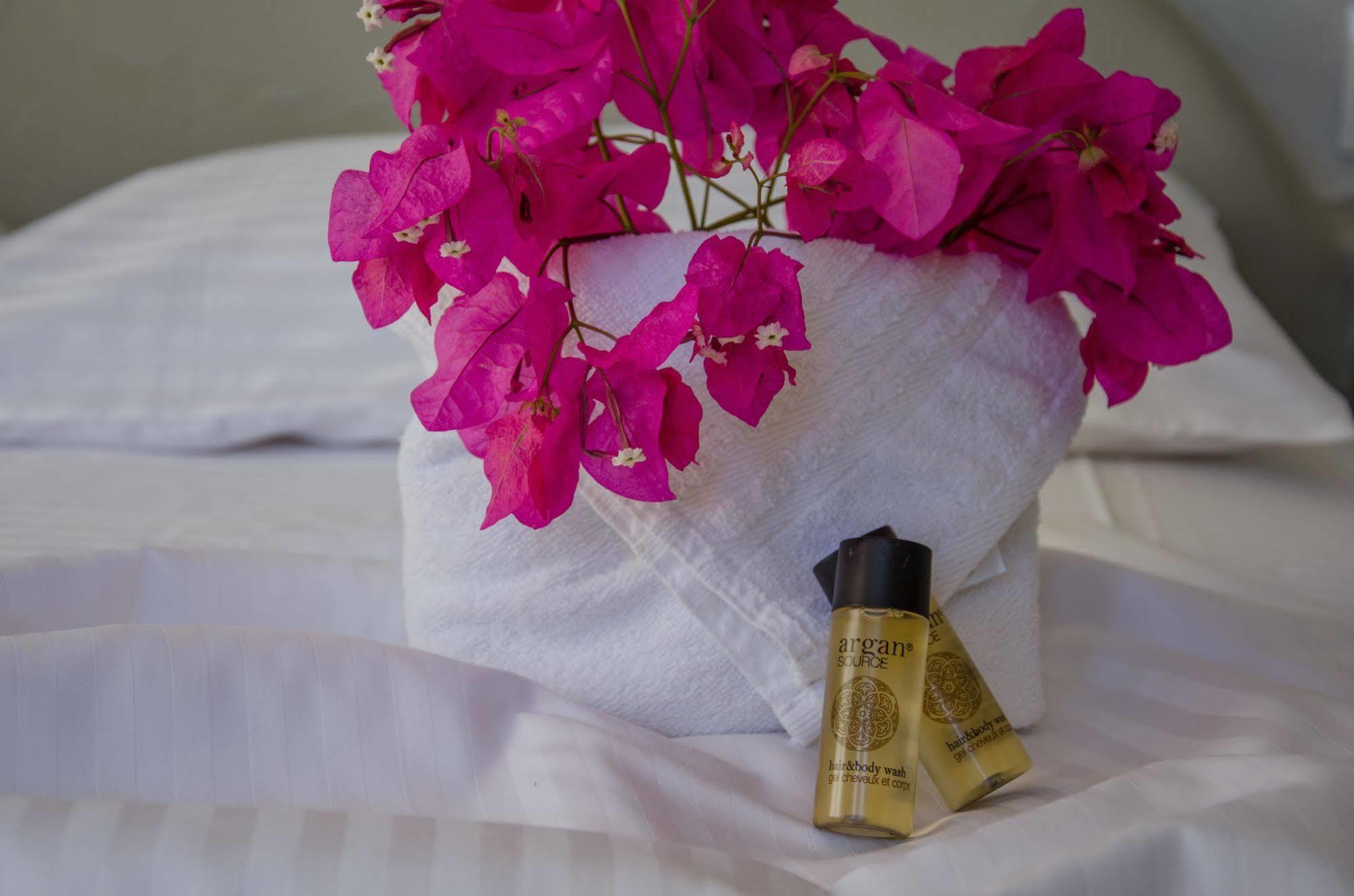 Olga Aparthotel Chora (Ios)