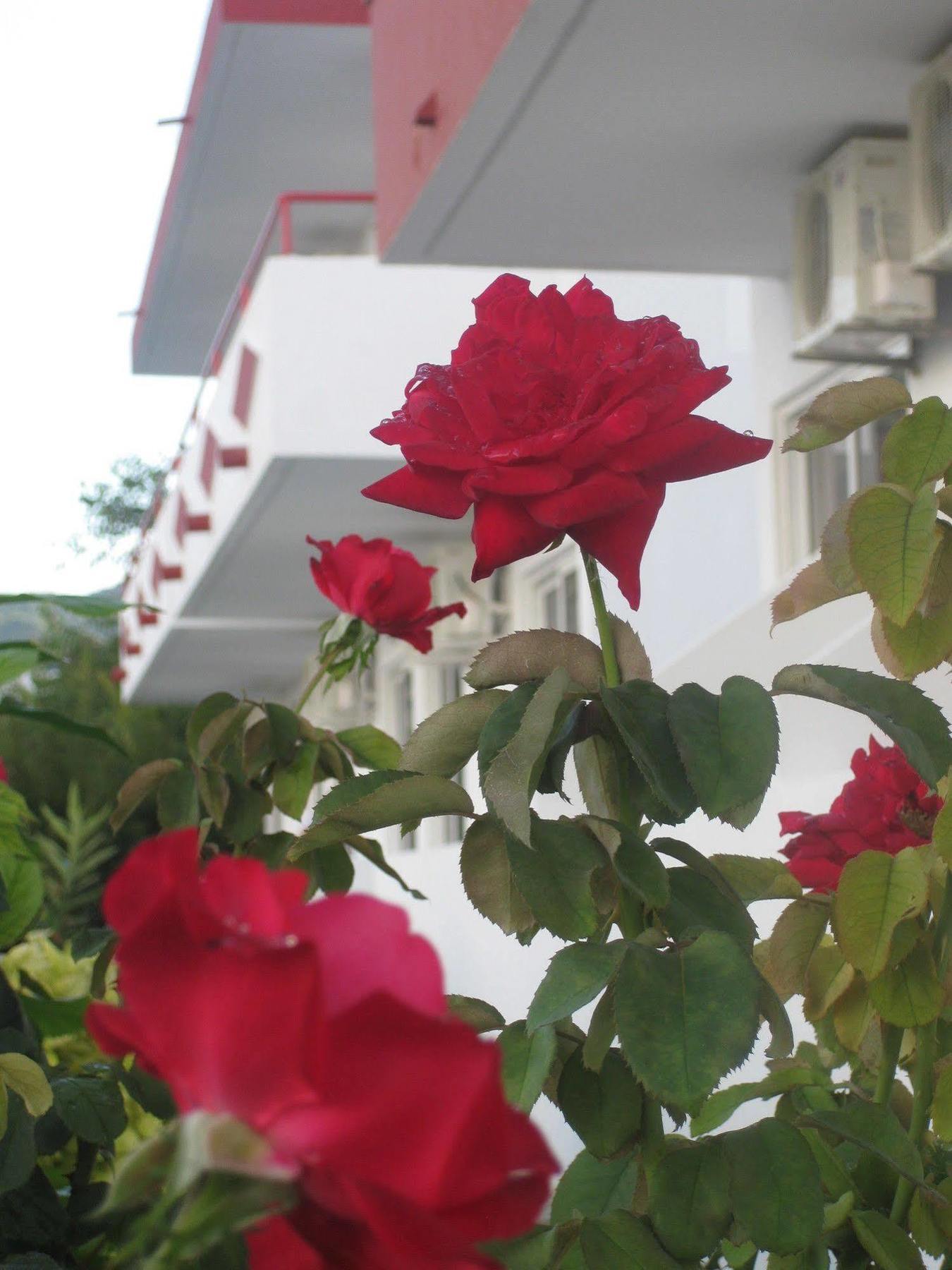 Stenna Apartment *
