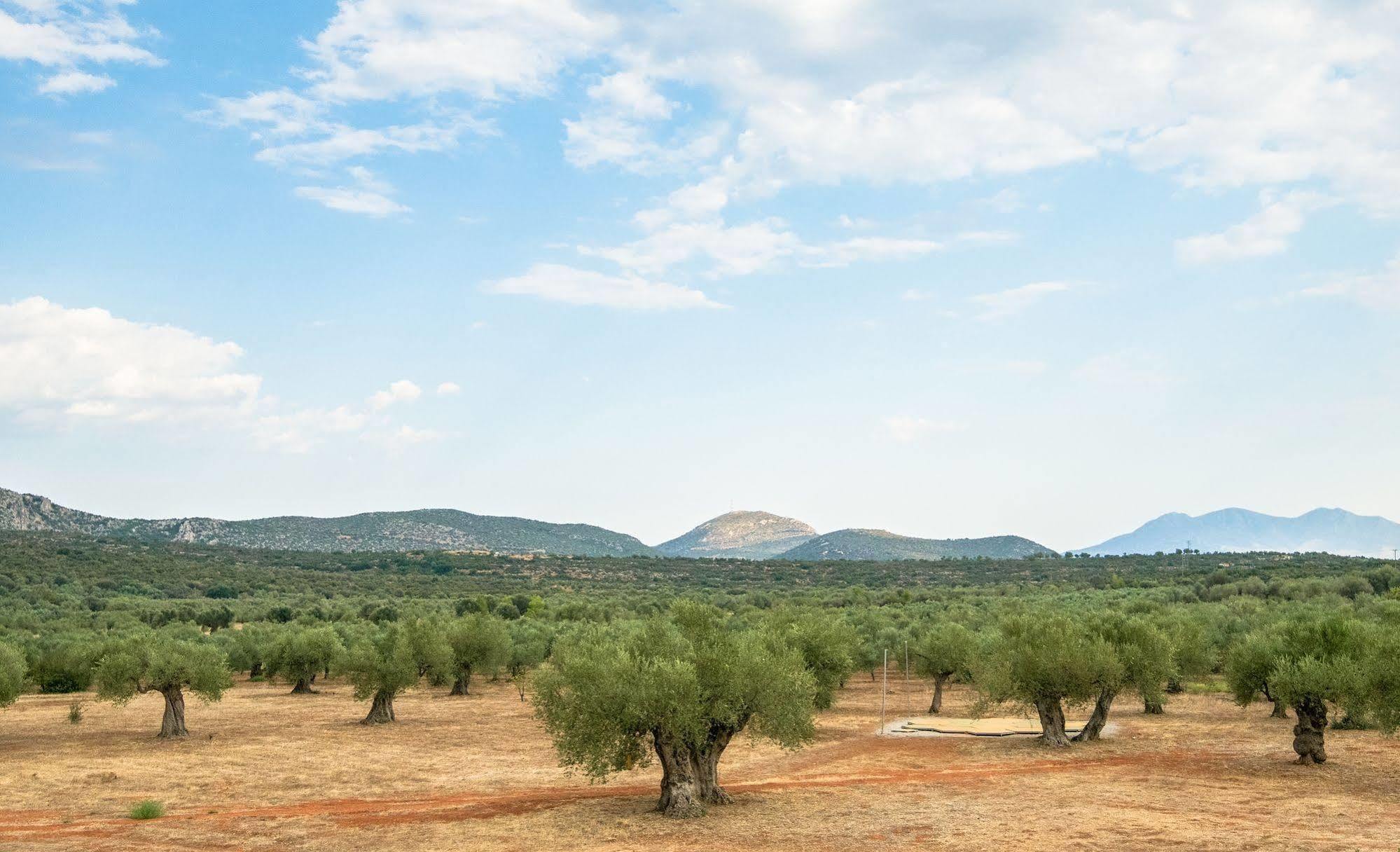 Eumelia Organic Agrotourism Farm & * Sparta