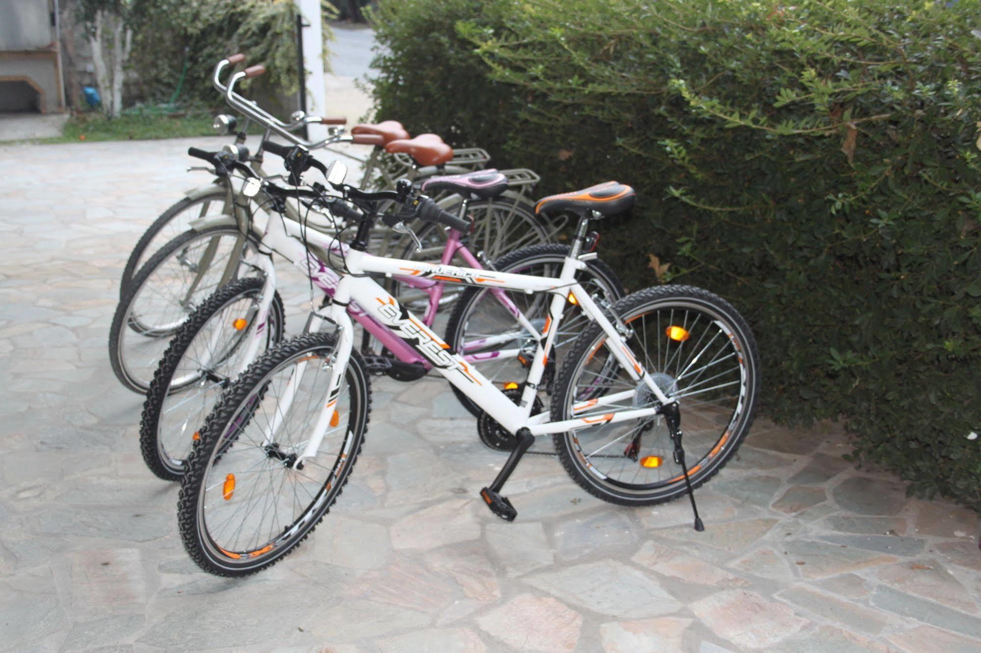 123 Armonia Guest house 3*