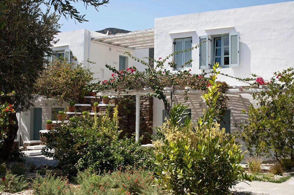 Verina Terra 3* Platis Gialos (Sifnos)
