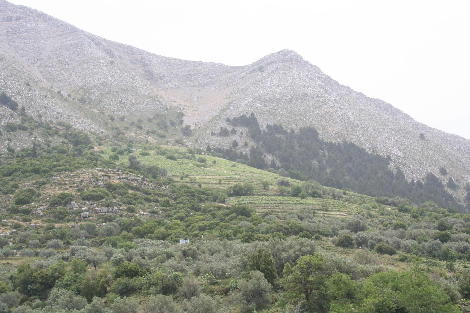 Ataviros Aparthotel Embonas