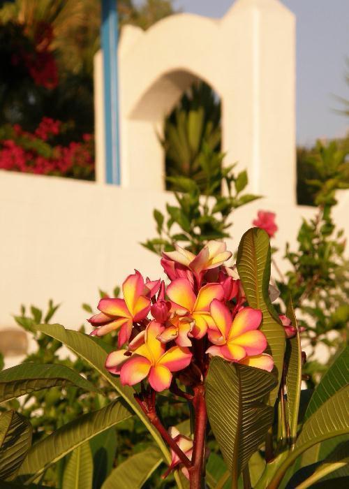 Agia Irini Villas Villa