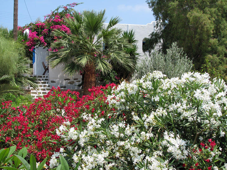 Agia Irini Villas