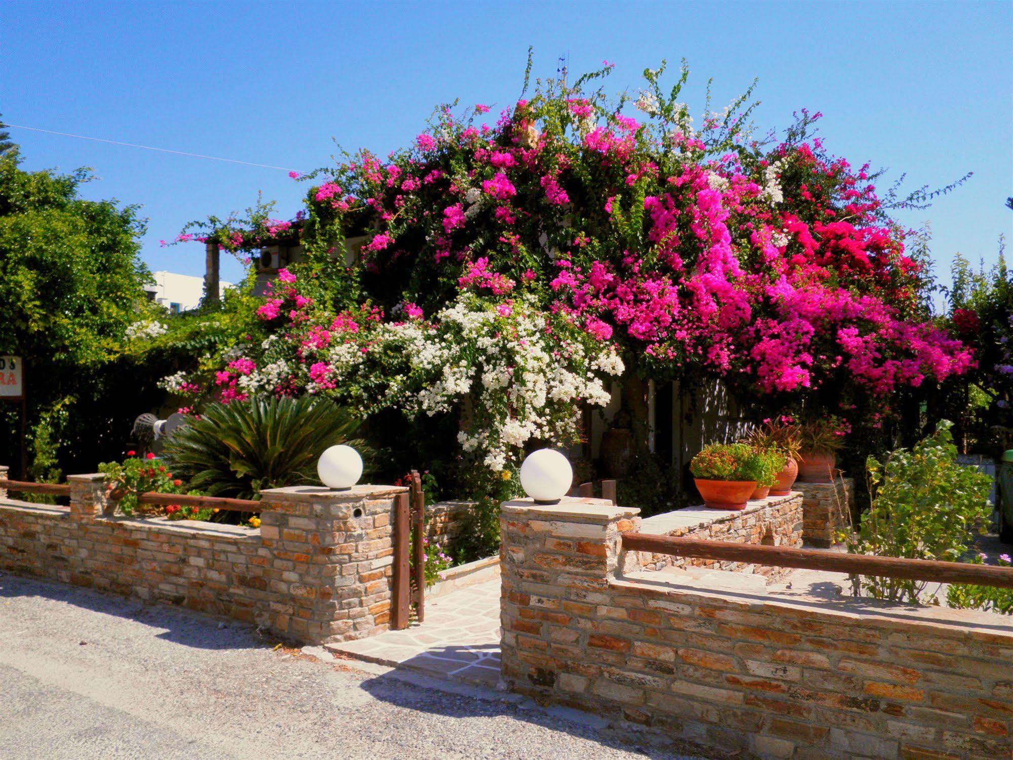 Dimitra 3* Kastraki (Naxos)
