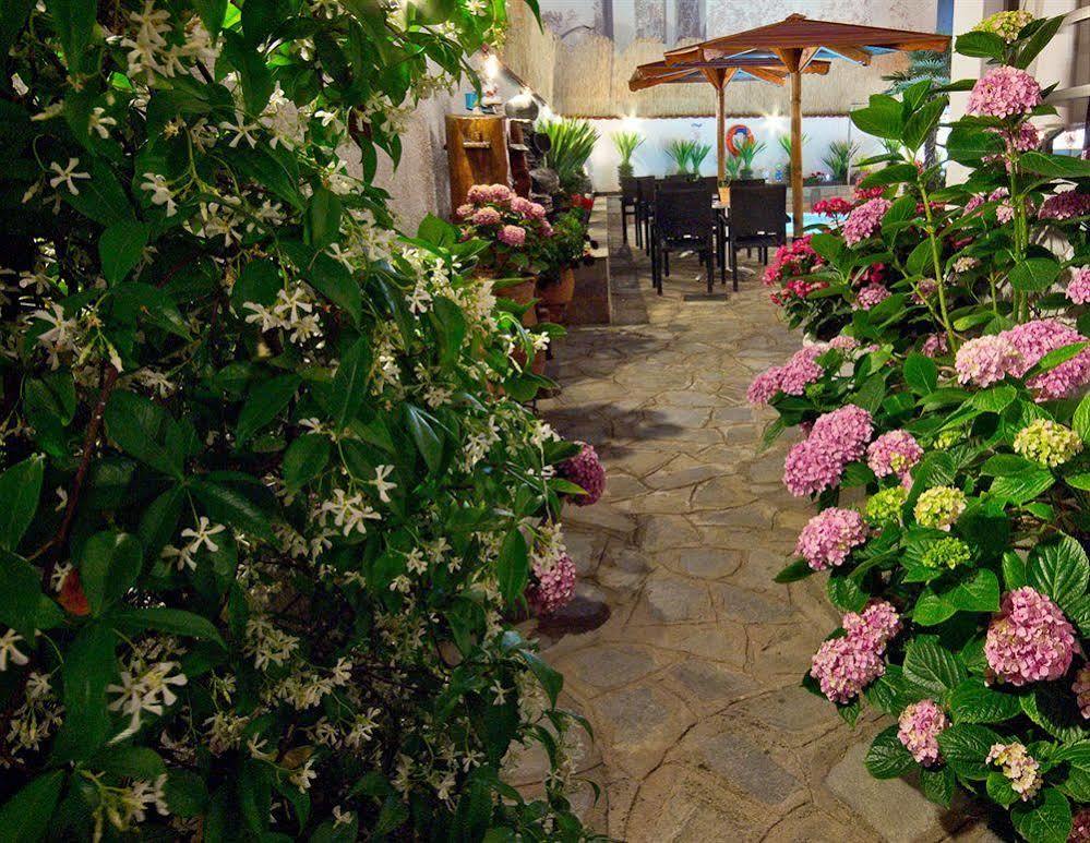 Pavlidis Hotel