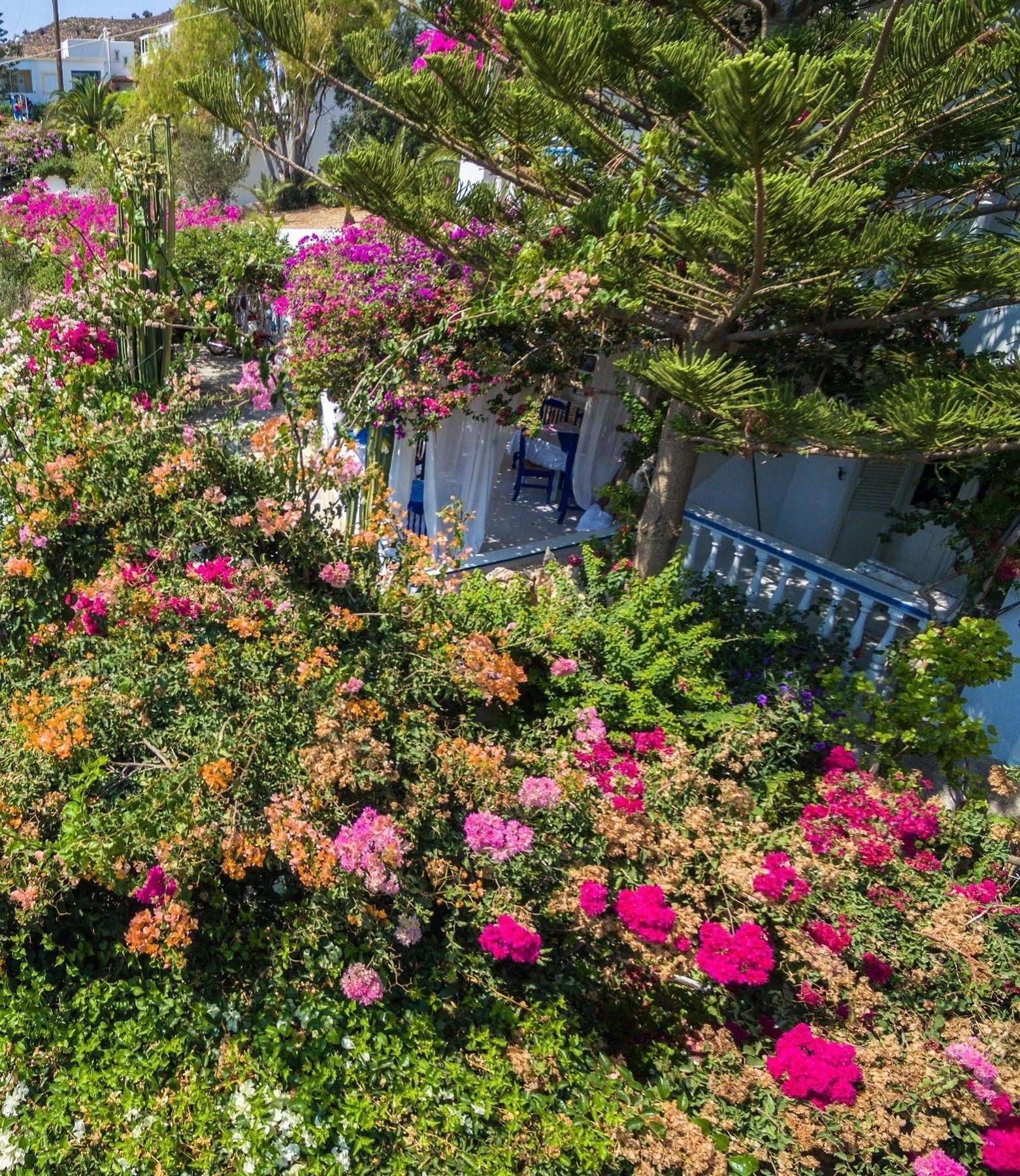 Aparthotel Angelika Alinda (Leros)