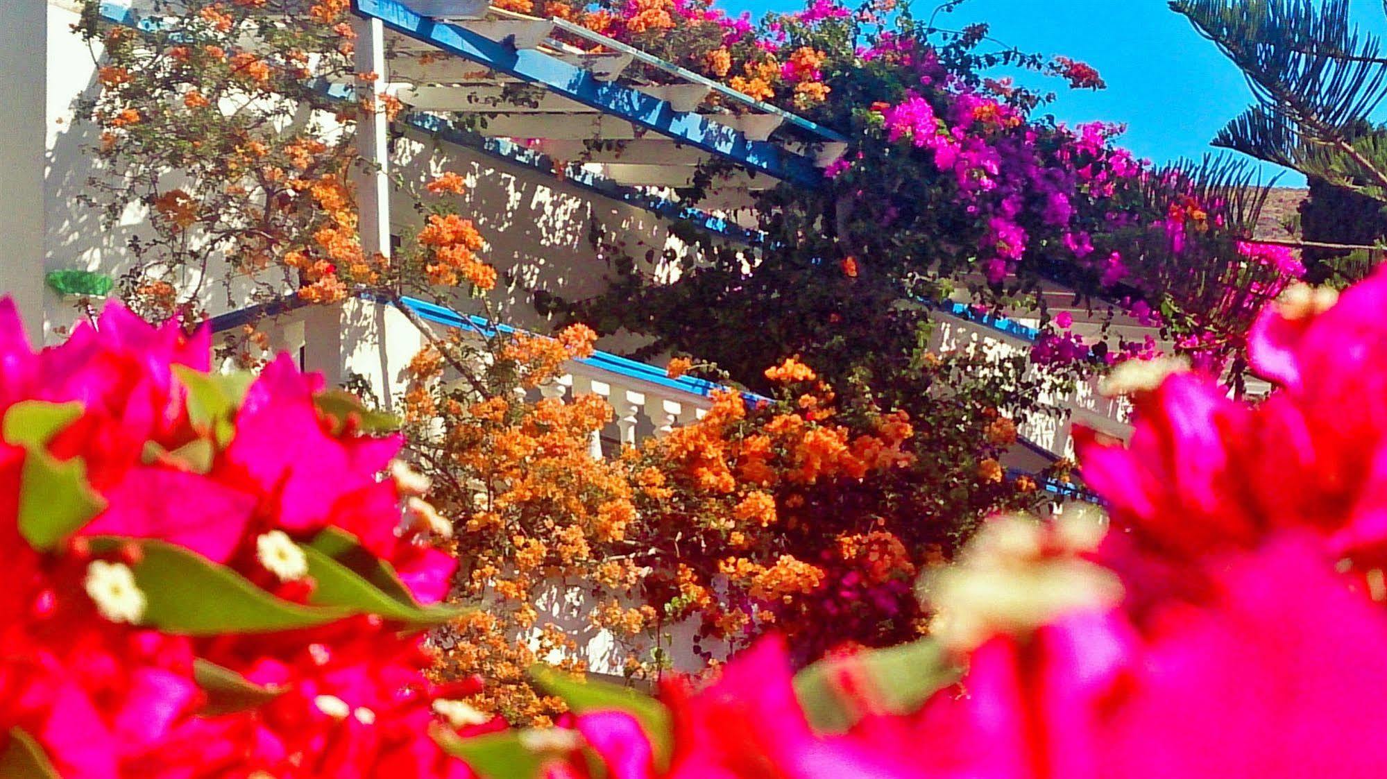 Aparthotel Angelika Alinda (Leros)