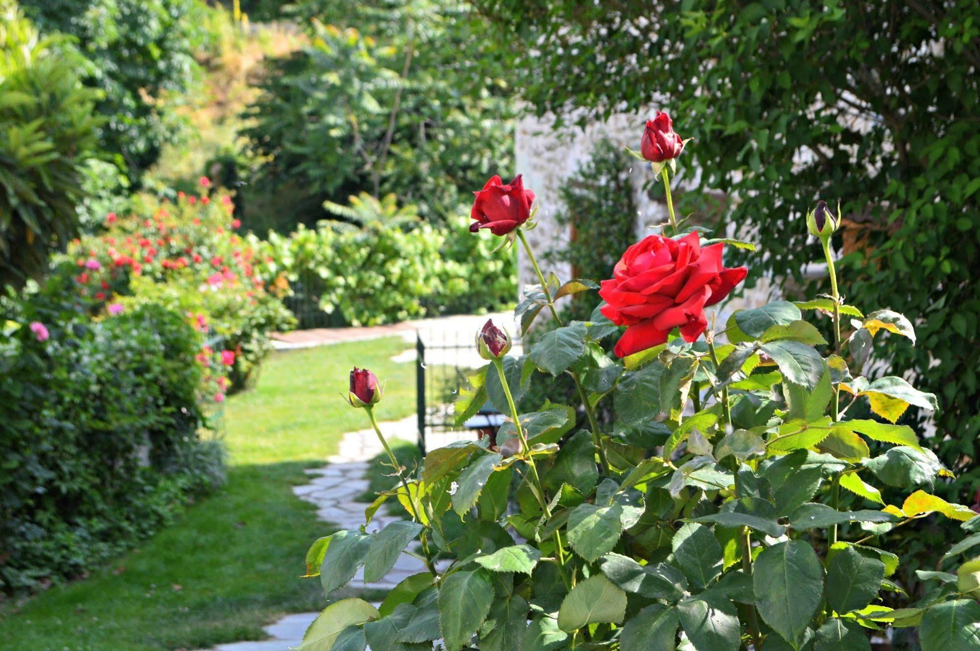 Triantafillies Guest house Portaria (Magnesia)
