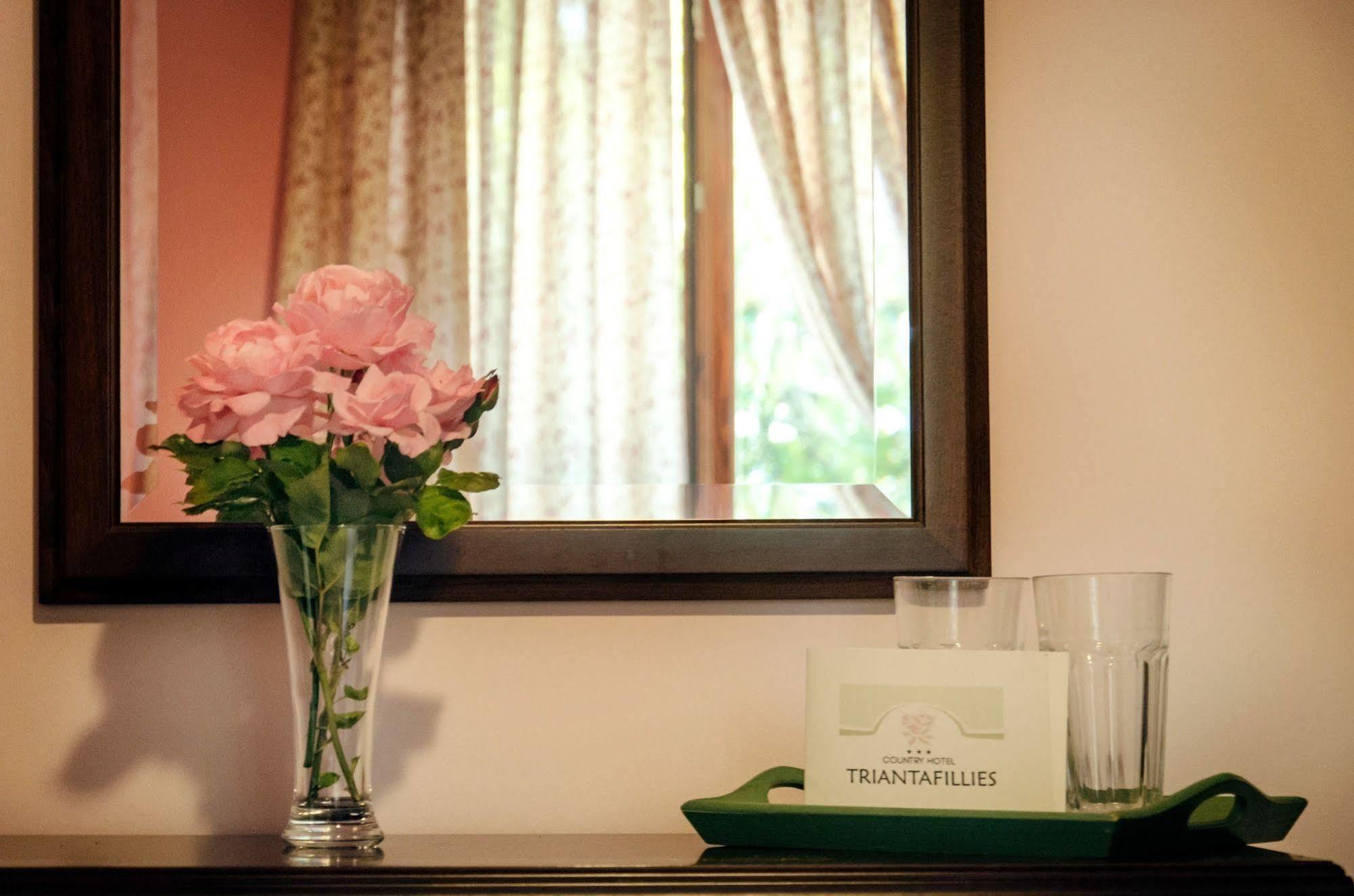 Triantafillies Guest house Portaria (Magnesia)