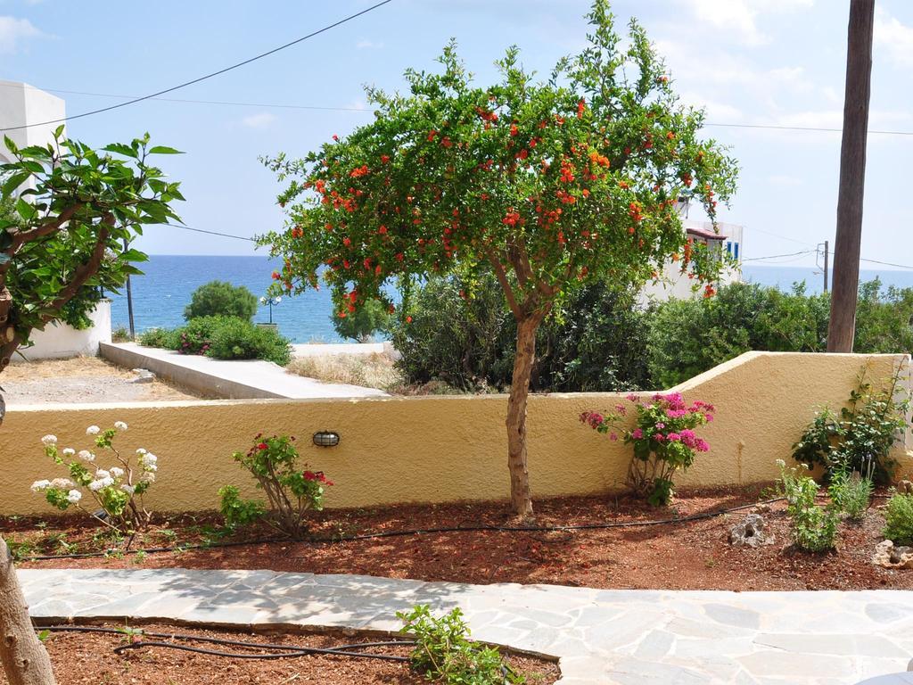 Apartment Perigiali Makry Gialos (Crete)