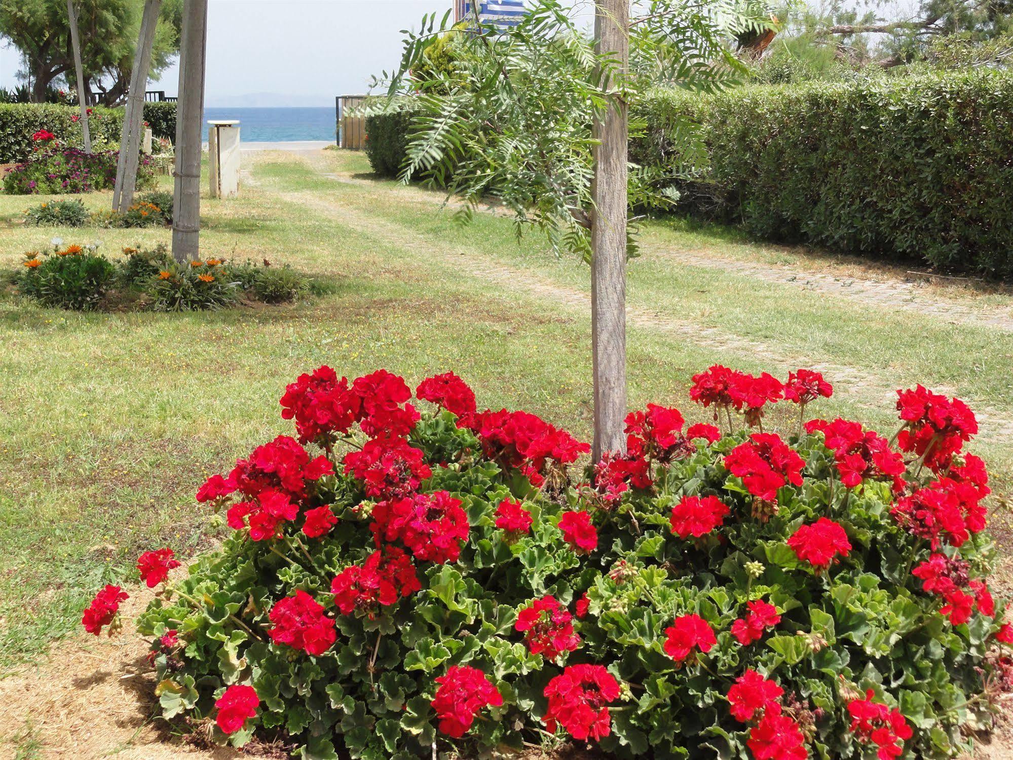 Nereids Aparthotel Sitia (Crete)