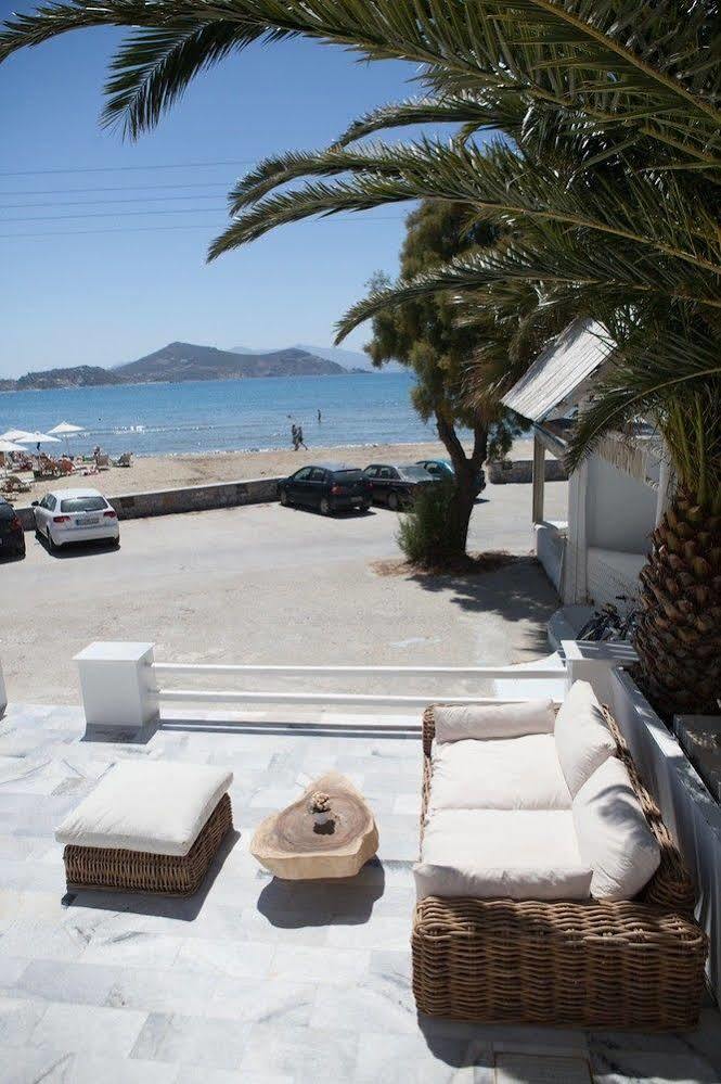 Ippokampos Beachfront Apartment Naxos City