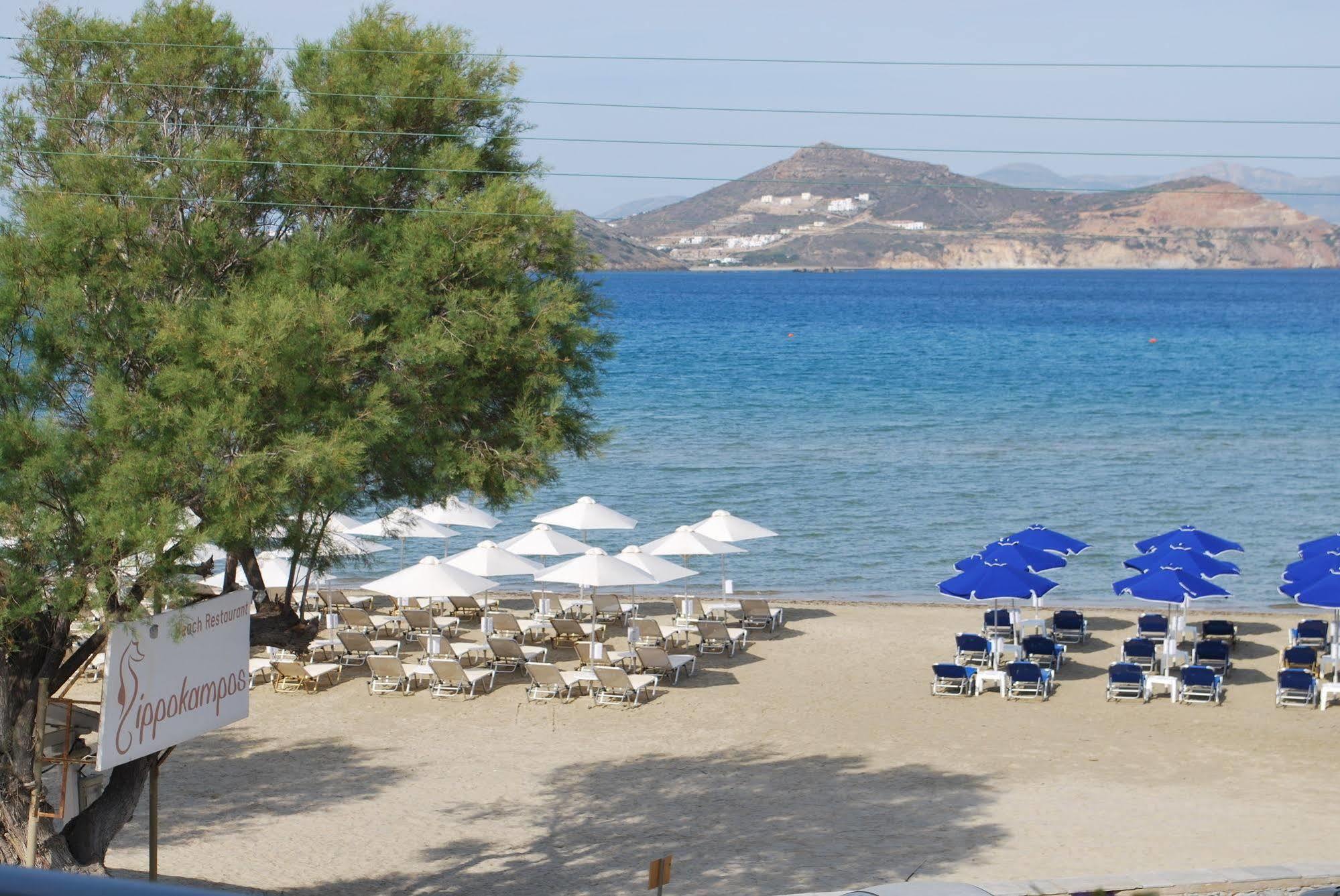 Ippokampos Beachfront Apartment