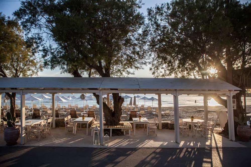 Apartment Ippokampos Beachfront Naxos City