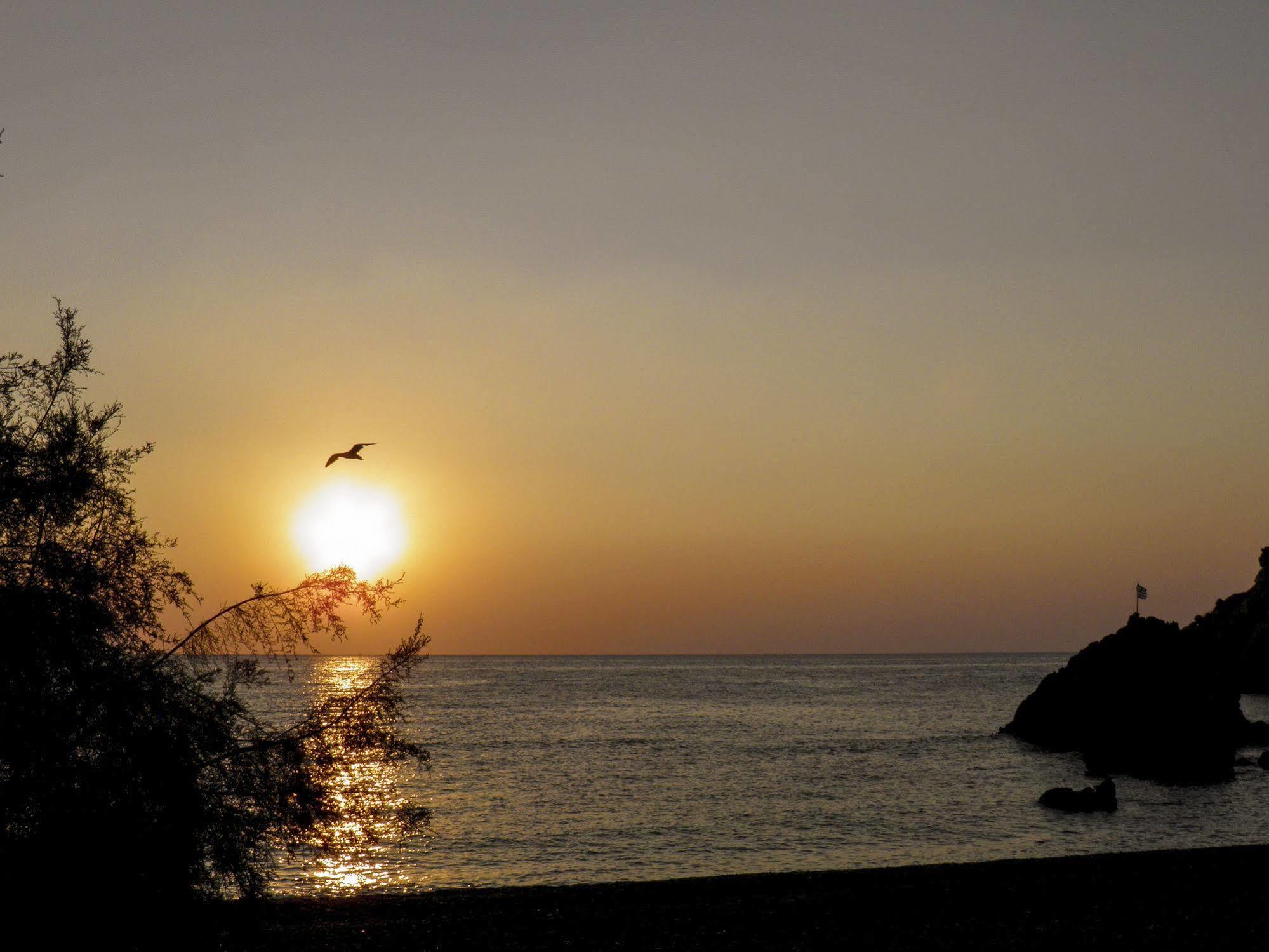 Alpha Stegna Sun Guest house Archangelos (Rhodes)