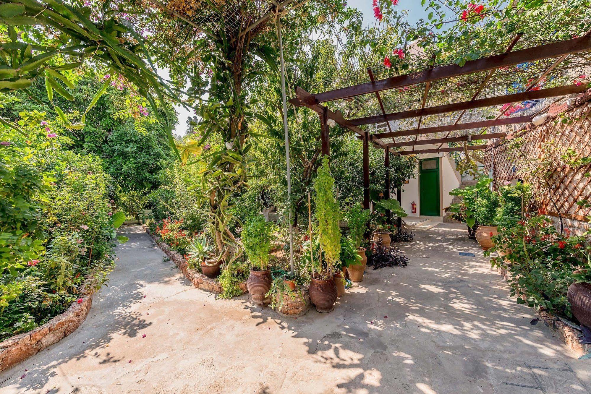 Alpha Stegna Sun Guest house