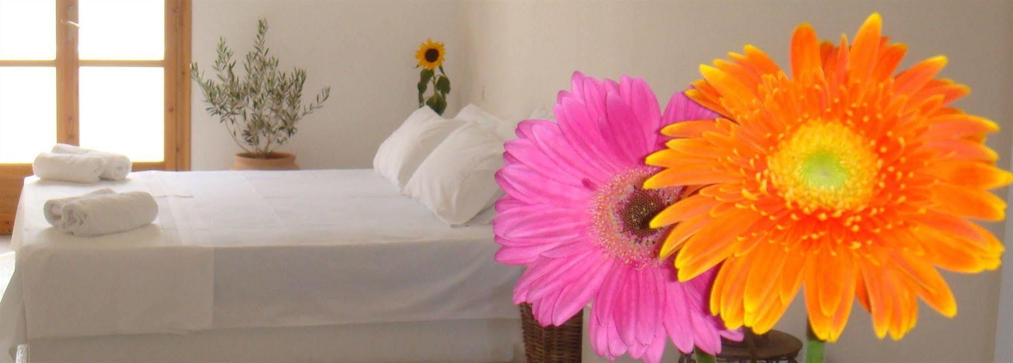 Apartment Elmarel Kamari (Santorini)