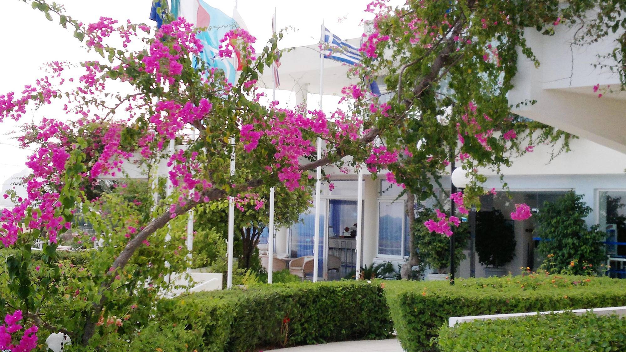 Iris Hotel 3*