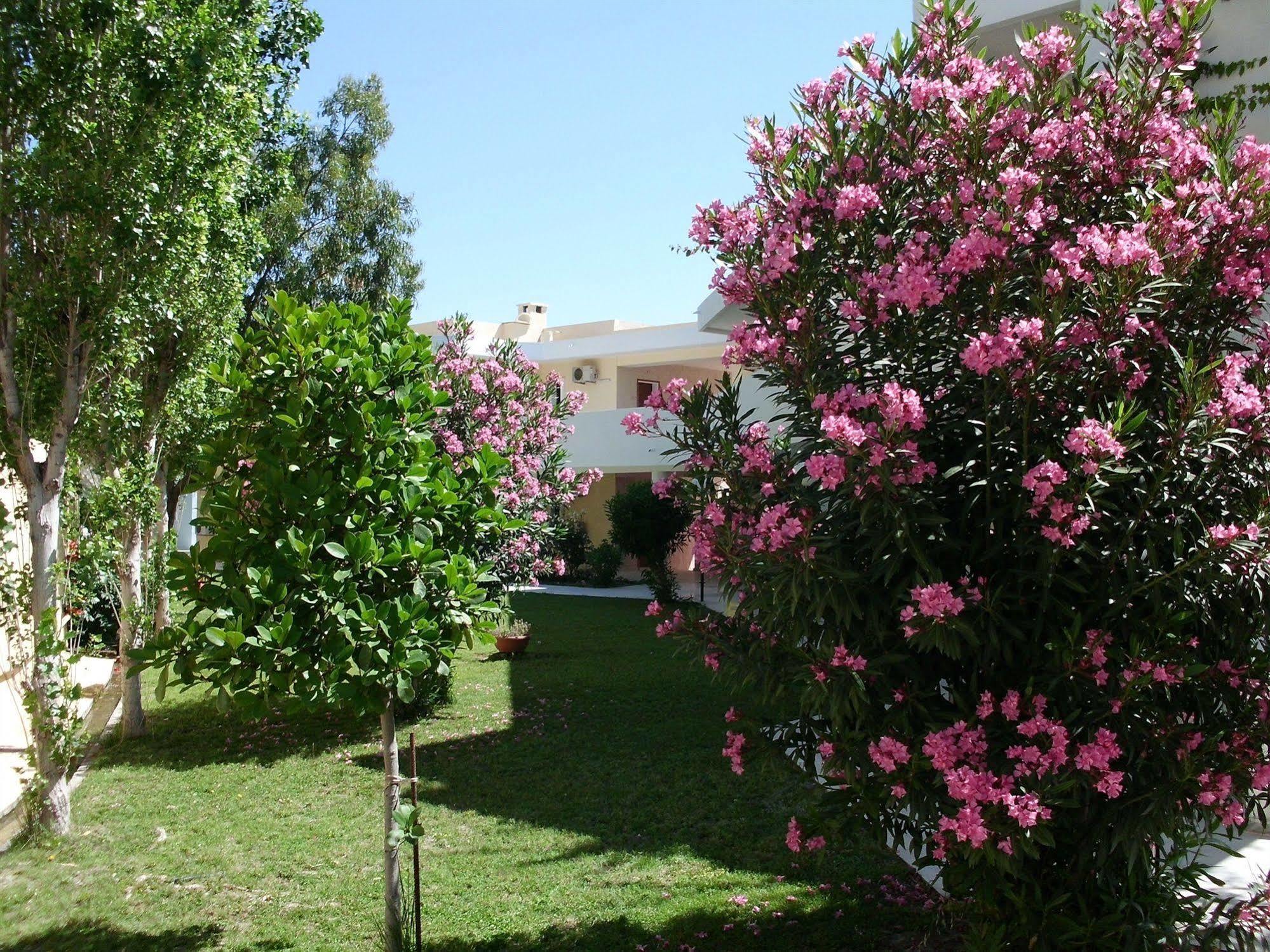 Hotel Iris Afantou