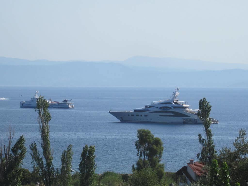 View Kolios
