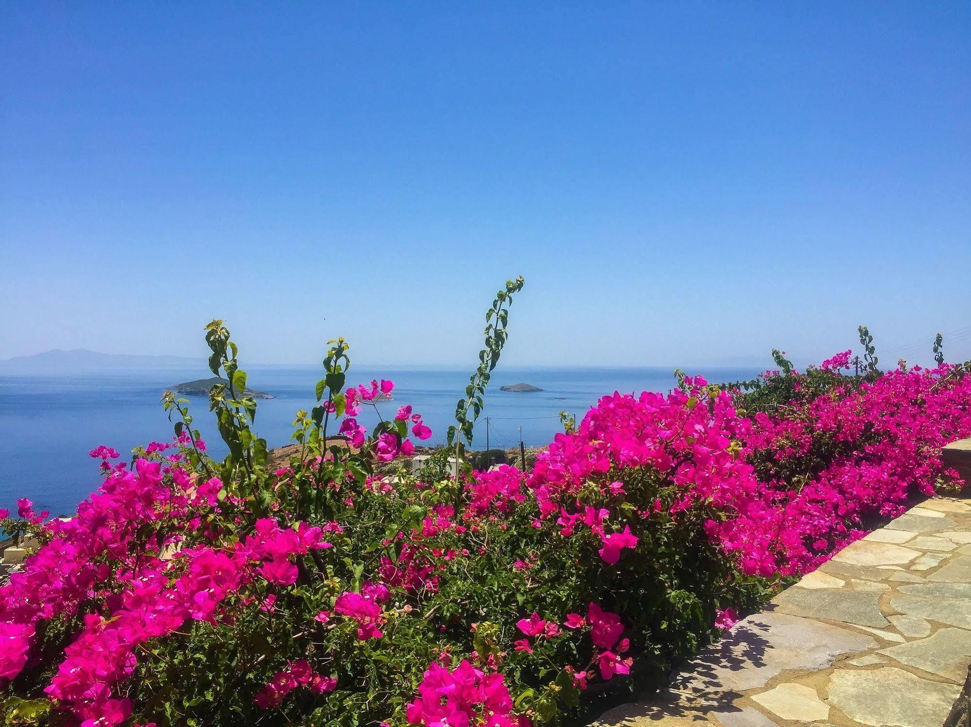 Aparthotel Andros Prive Kipri (Andros)